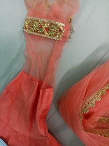 Heavy Work And Beautiful Enthic Gown