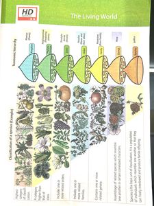 Mtg Fingertips NCERT Biology Class XI + XII
