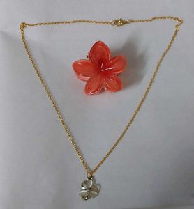 Floral Pendant Necklace & Hair Clip