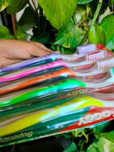 Set Of 5 Colourful 🪥 Toothbrush