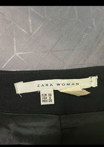 Zara Pen Skirt