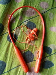 Boat Earphones
