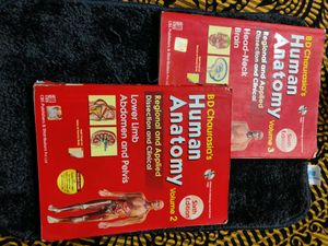 Combo BD CHAURASIA ANATOMY TEXTBOOK PART - 2&3