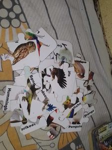 Kids' Bird Puzzle