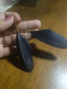 Black Feather Earrings