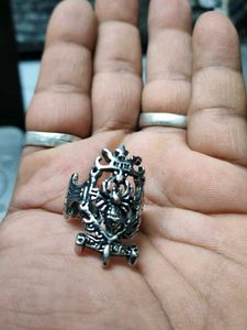 Web Spider Model Ring