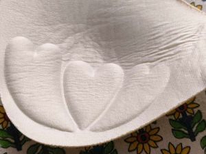 Bra Inserts