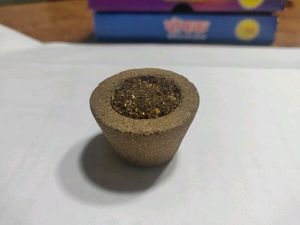 PREMIUM CUP SAMBARANI