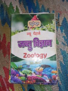 Bsc 1st Year