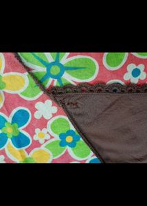 Hm Brief panty in chocolate brown