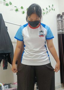 Thomas the Train Raglan Tee