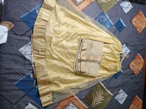mastani anarkali  dress all over golden colour loo