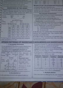 Hand Written Notes For 12 Class Biology Cbse Board
