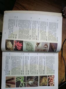 Invertebrate Zoology By EL JORDAN AND PS VERMA