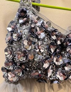 Elegant Grey Lehenga Choli