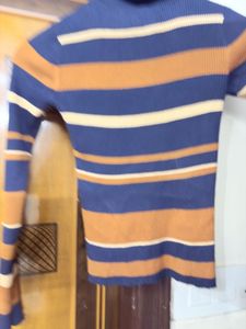 Striped Turtleneck Top