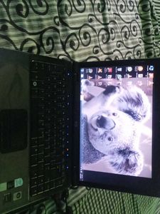 Laptop Hp