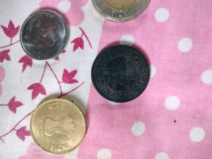 Coin Collection