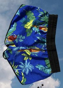 Harmony&amp;Havoc Shorts