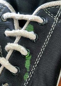 Canvas Shoes