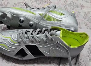 Silver Sports Shoes