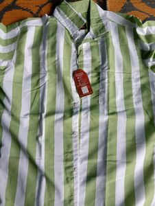 Striped Green Shirt