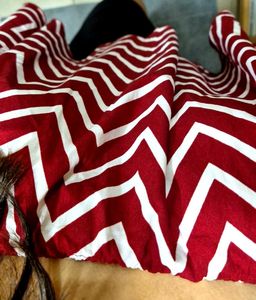 Red And White Bardot Top