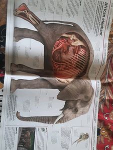 KNOWLEDGE ENCYCLOPEDIA