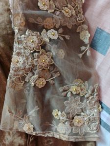 Stright Kurta Designer