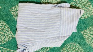 Max Striped Button-Down Shirt