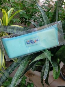 Pastel Pencil Cases - Set of 3