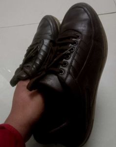 💯✨Classic Brown Leather Casual Shoes✨💯