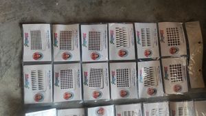 Women 33 Bindi Set