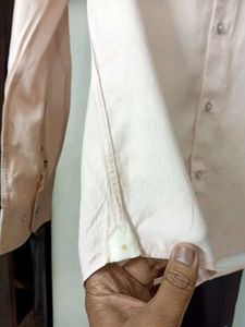 FINAL PRICE - NEW RARE RABBIT Printed Shirt