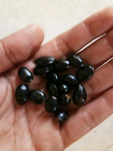 Custard Apple Seed