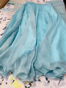 Blue Lehenga Choli