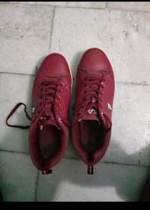 Combo Of Men Shoes