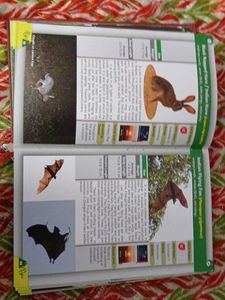 Handbook of Melghat