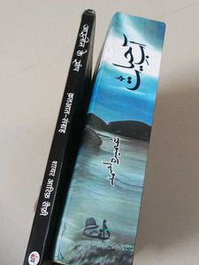 Urdu Fiction Books Set