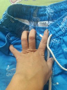 Tiger Print Swim Shorts