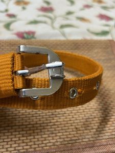Dog Collar