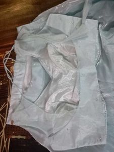 Brand New Lehnga