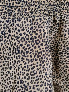 Leopard Print Mini Dress