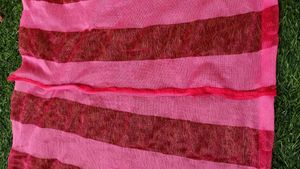 Combo of 4 Dupatta