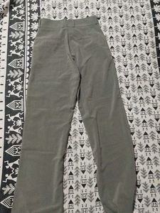 Pant