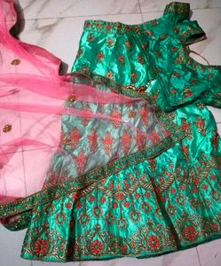 Embroidered Lehenga Skirt