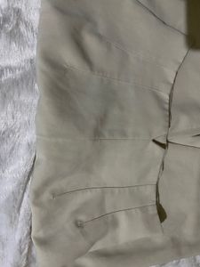 Zara High Waist Pleated Pant