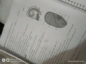 Biohack By Parth Goyal