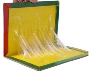 Pest Control Mouse Trap Rat Glue