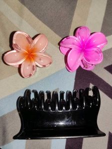flower clutcher and a claw clip